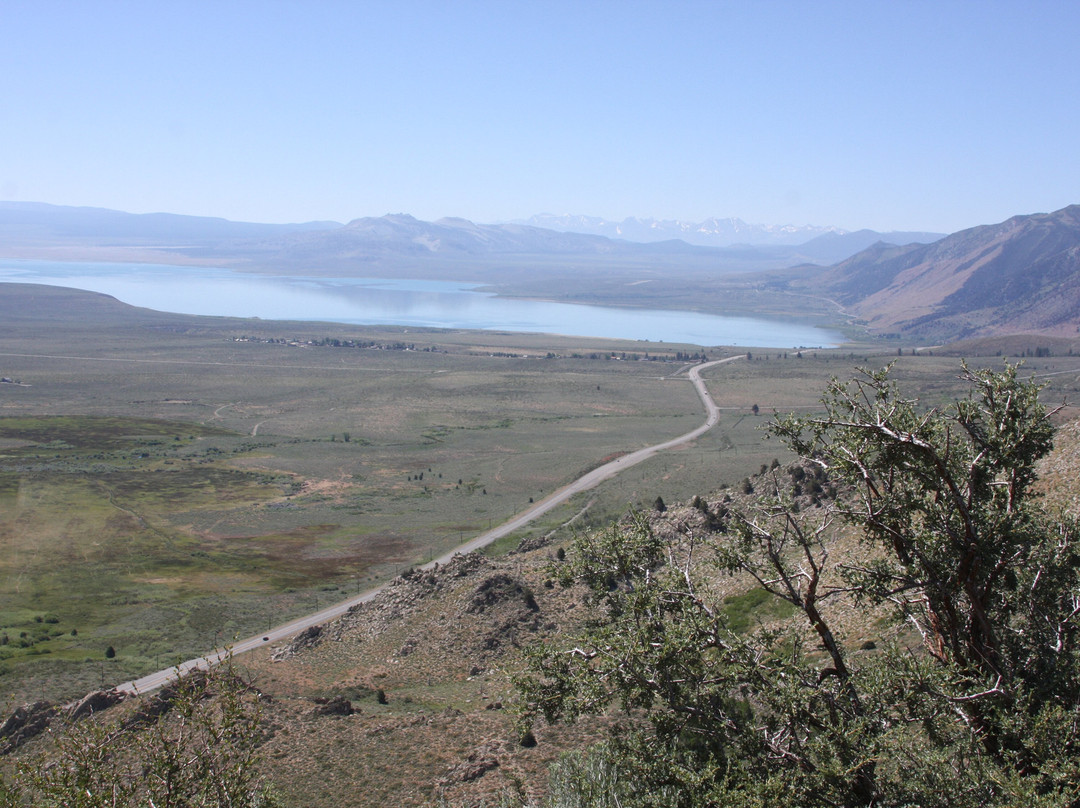 Mono Lake Vista Point-利韦宁必去景点
