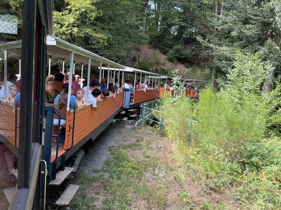Train Forestier d'Abreschviller-Abreschviller必去景点