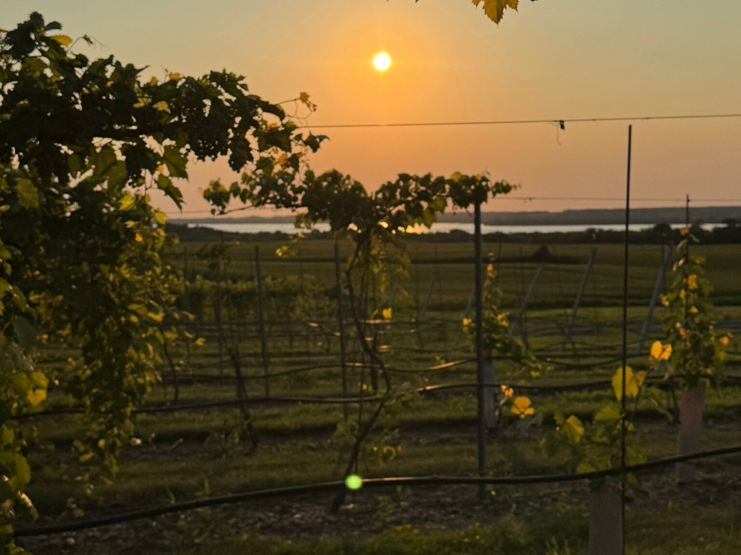 Rolling Forks Vineyards-Glenwood必去景点