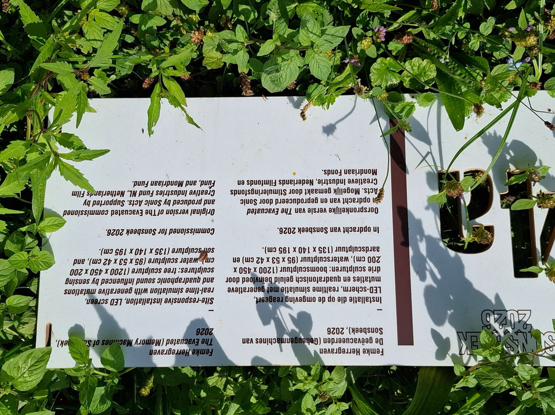 Park Sonsbeek-阿纳姆必去景点