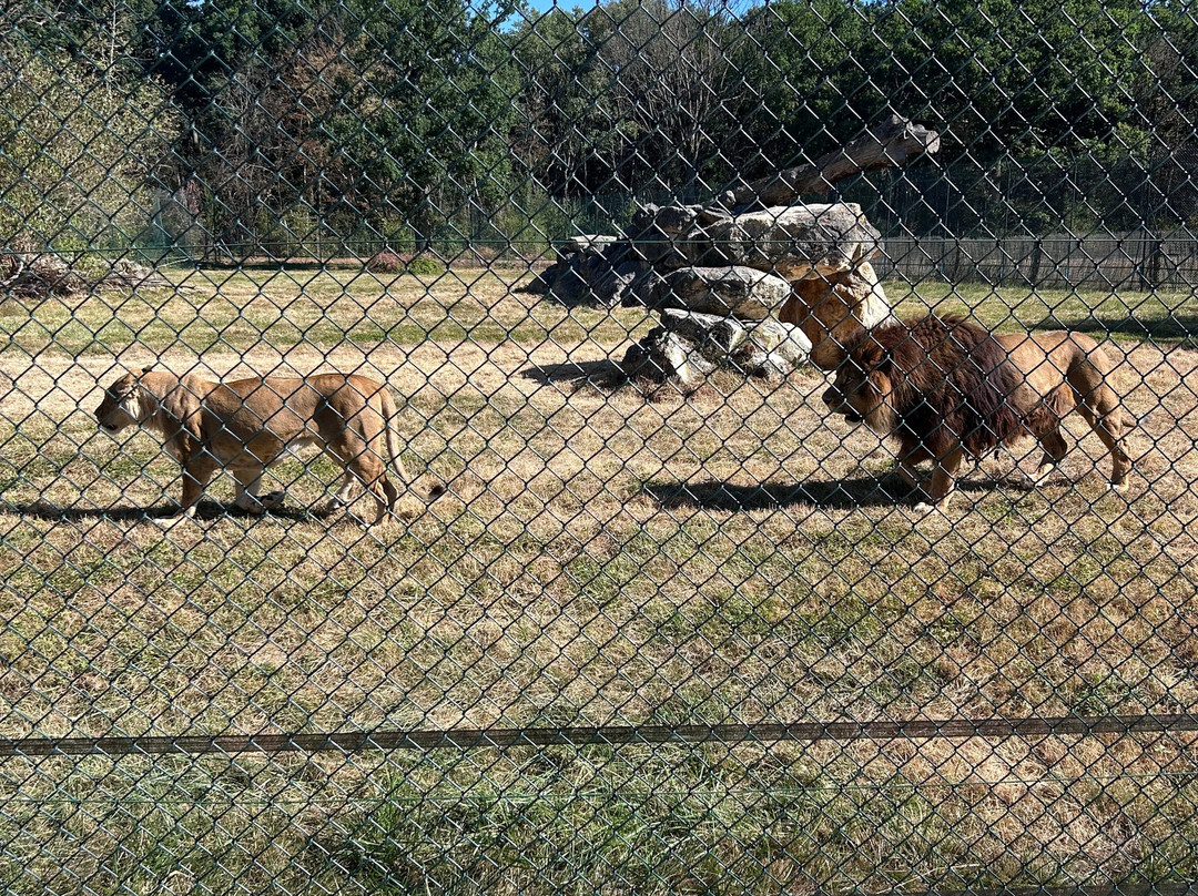 Zoo du Bois d'Attilly-Ferolles-Attilly必去景点