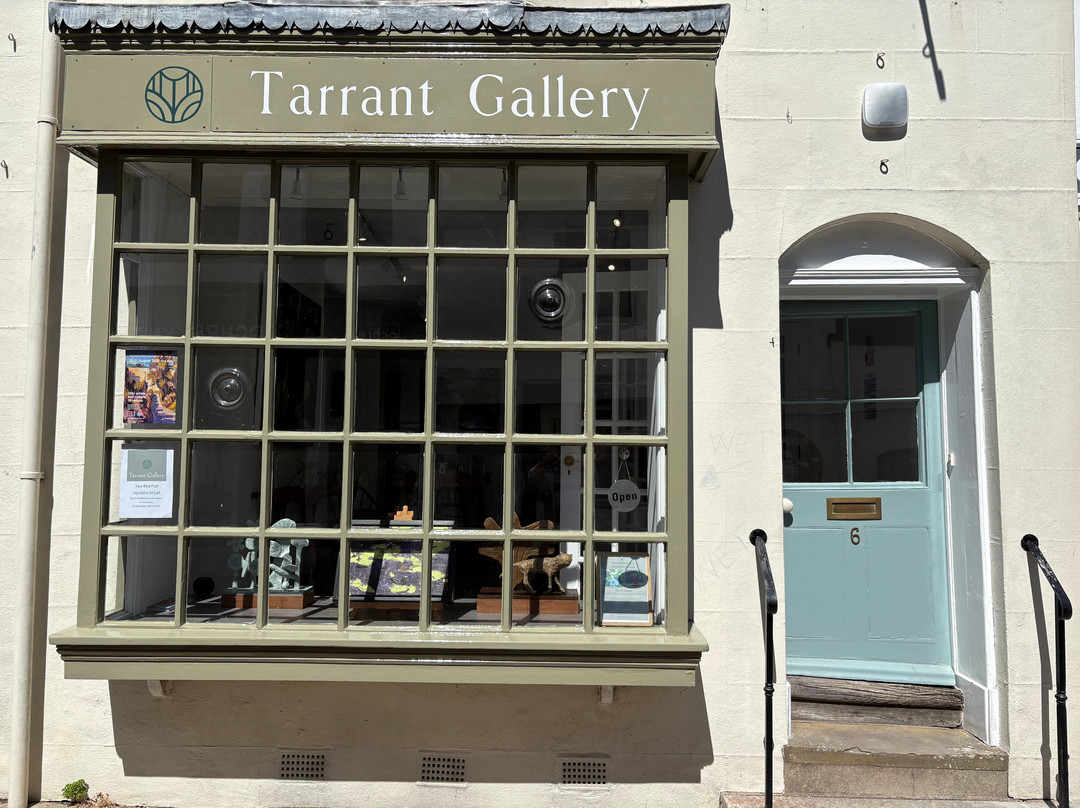 Zimmer Stewart Gallery
