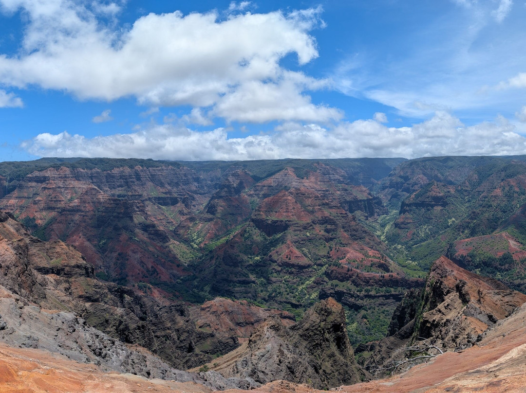 Iliau Nature Loop Trail-威美亚必去景点