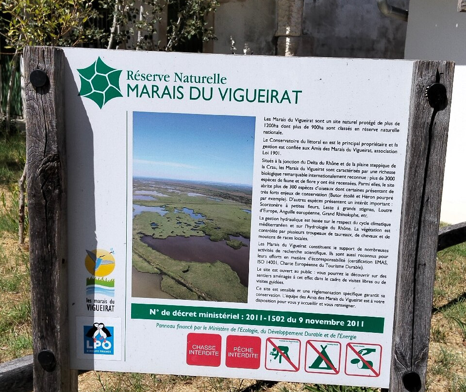Les Marais Du Vigueirat - Arles Camargue-阿尔勒必去景点