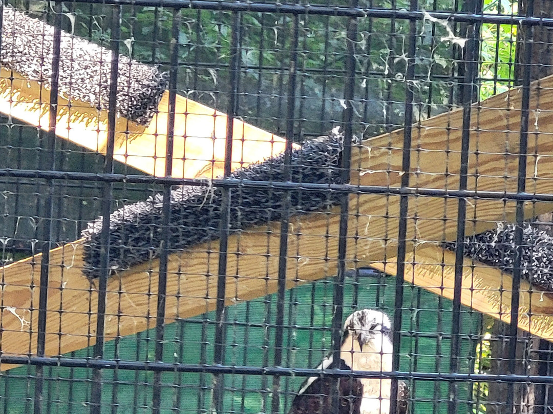 Bay Beach Wildlife Sanctuary-格林贝必去景点