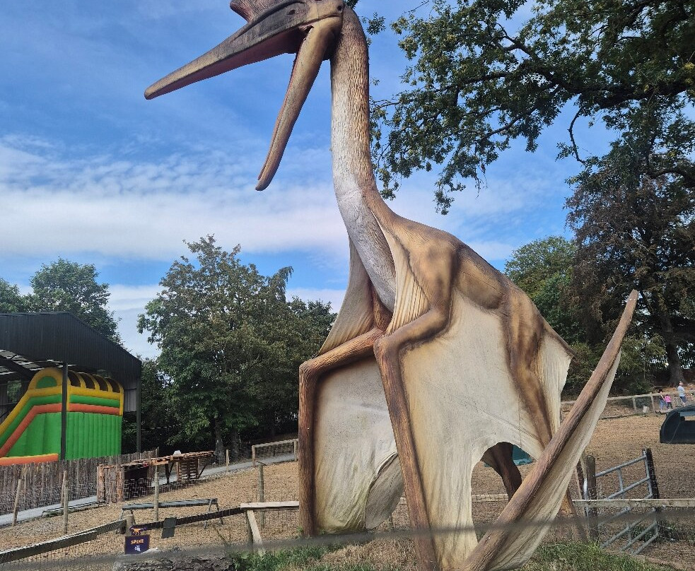 Jurassic Newpark-基尔肯尼必去景点