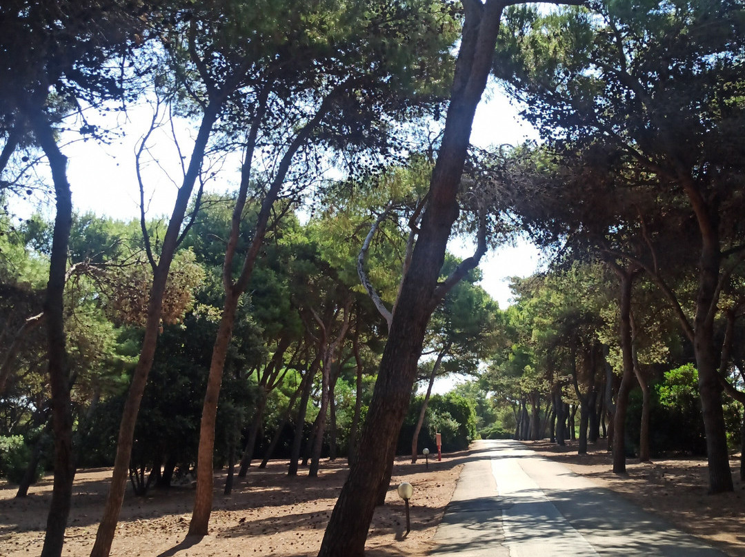 TH Ostuni - Ostuni Village主图
