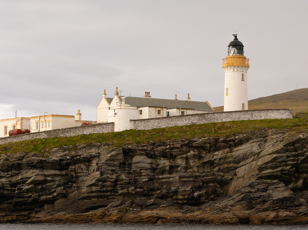 Seabirds and Seals - The Original Noss Boat Tours-Lerwick必去景点