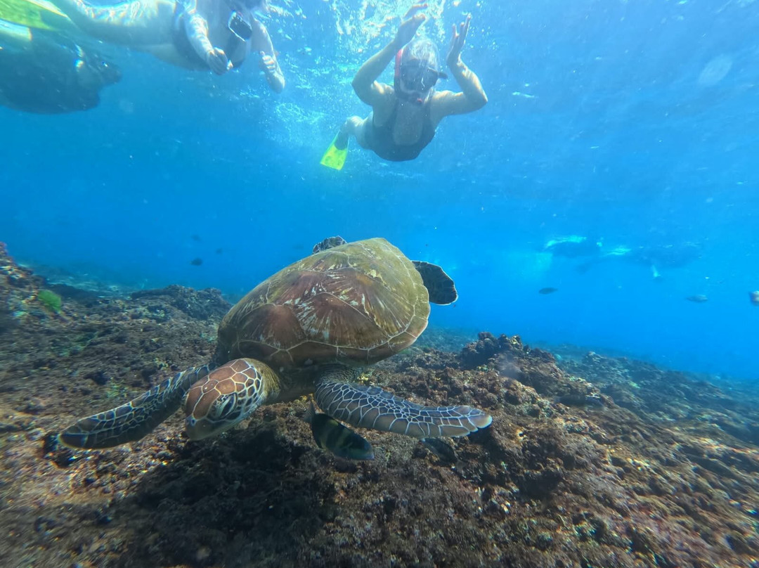 Lembongan Go Trip-克隆孔必去景点