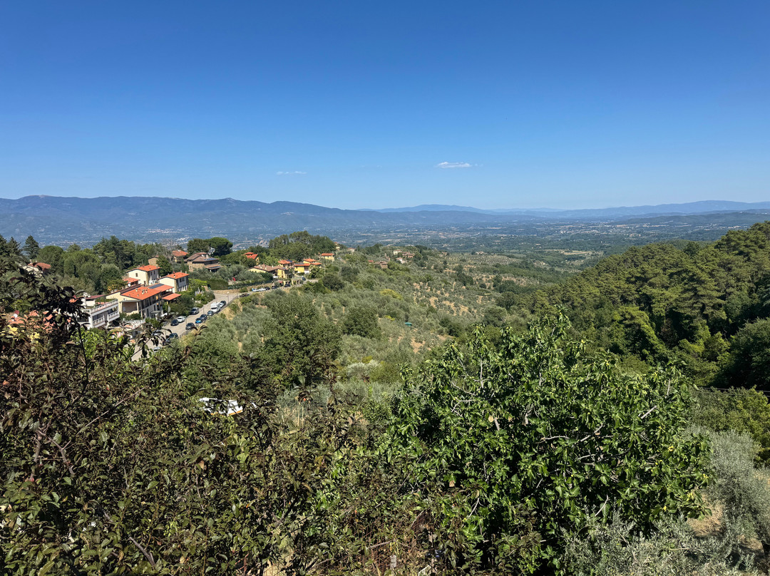 Vin Divino Mini Apartament