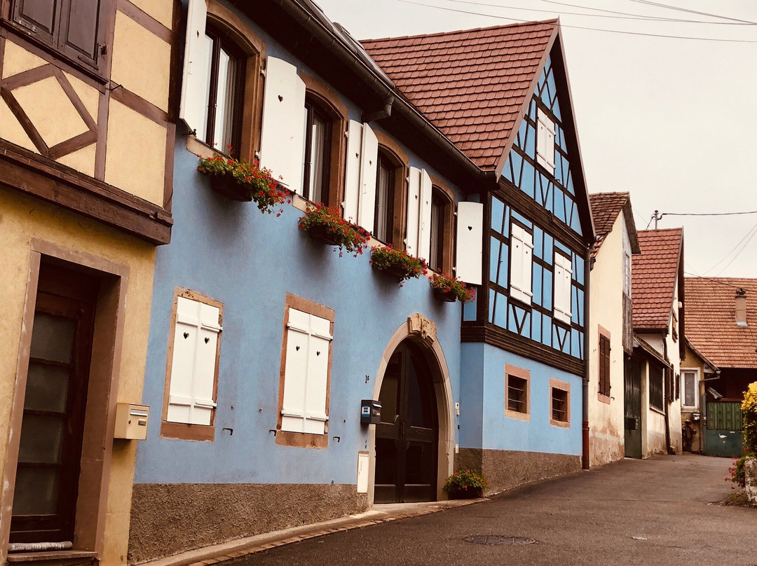 Office de Tourisme de la Vallée de la Bruche-Schirmeck必去景点