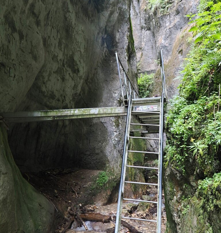 Seven Ladders Canyon-Timisul de Jos必去景点