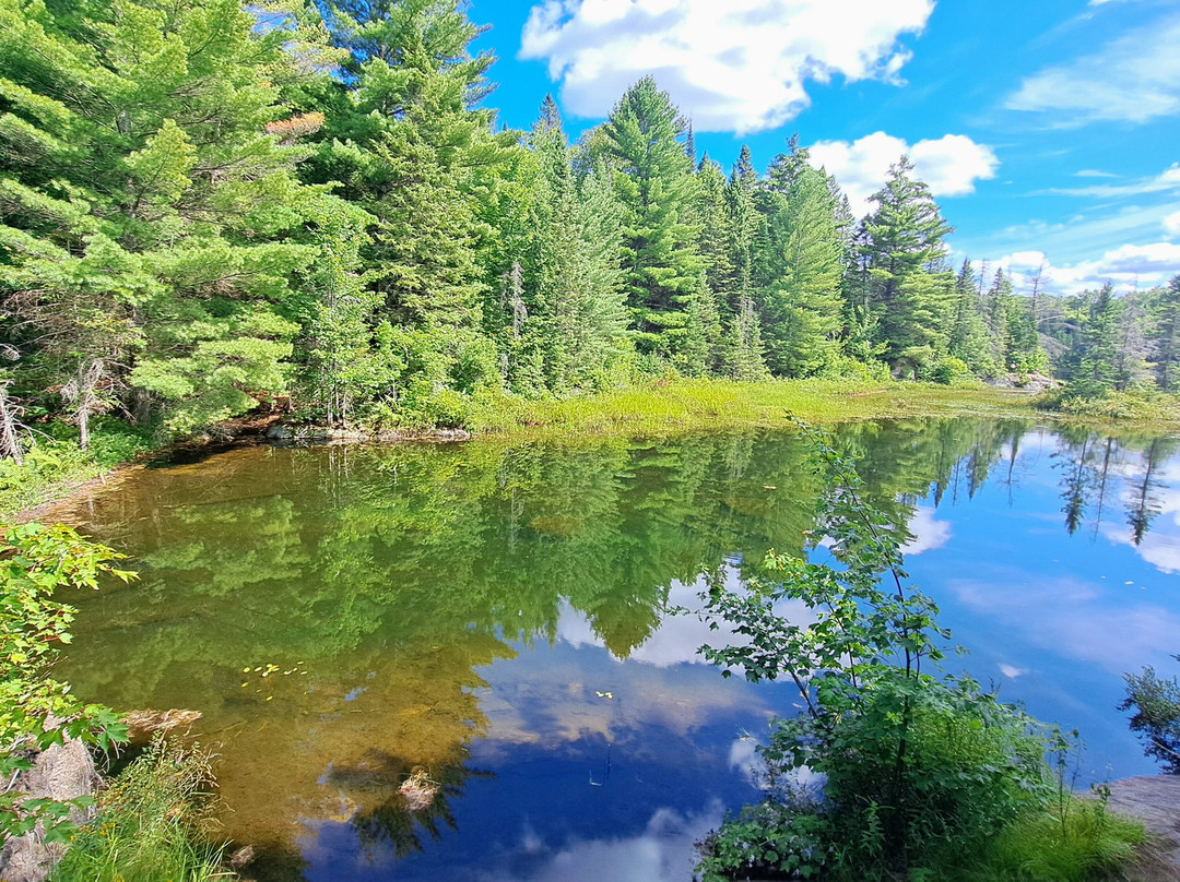 Peck Lake Trail-阿冈昆公园必去景点