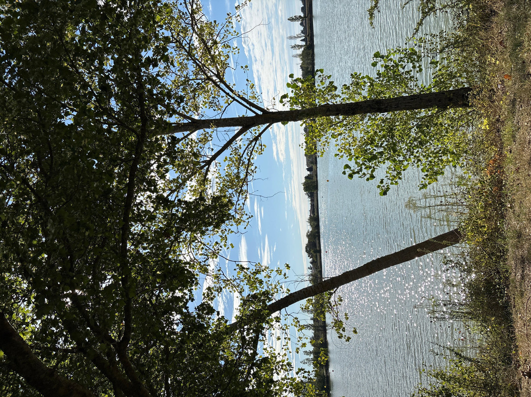 Lac de Beaupuy-Beaupuy必去景点