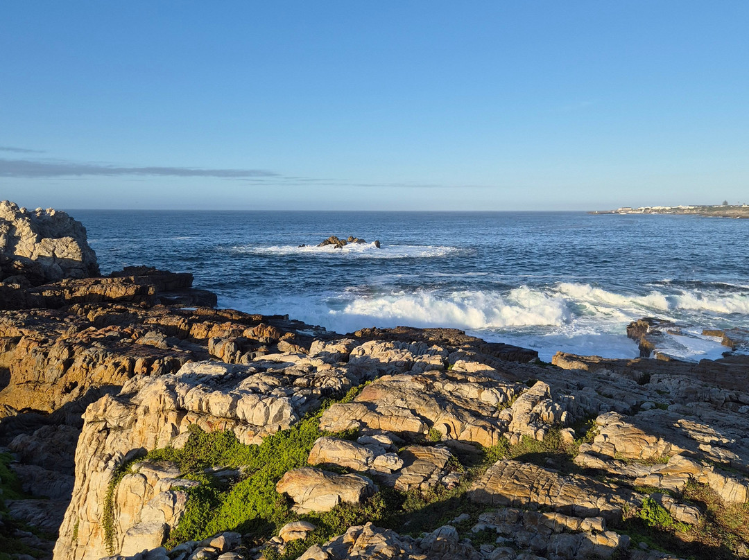 Hermanus Cliff Path-赫曼努斯必去景点
