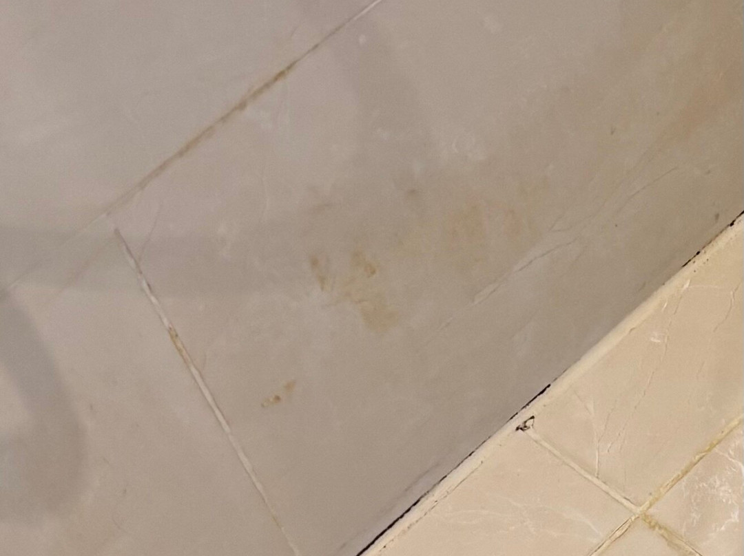 阿姆斯特丹竞技场OZO酒店主图