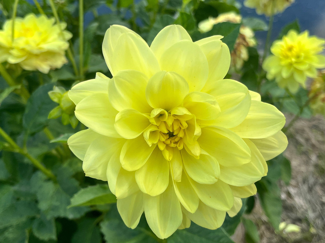 Botanical Garden Bečov nad Teplou-Becov nad Teplou必去景点