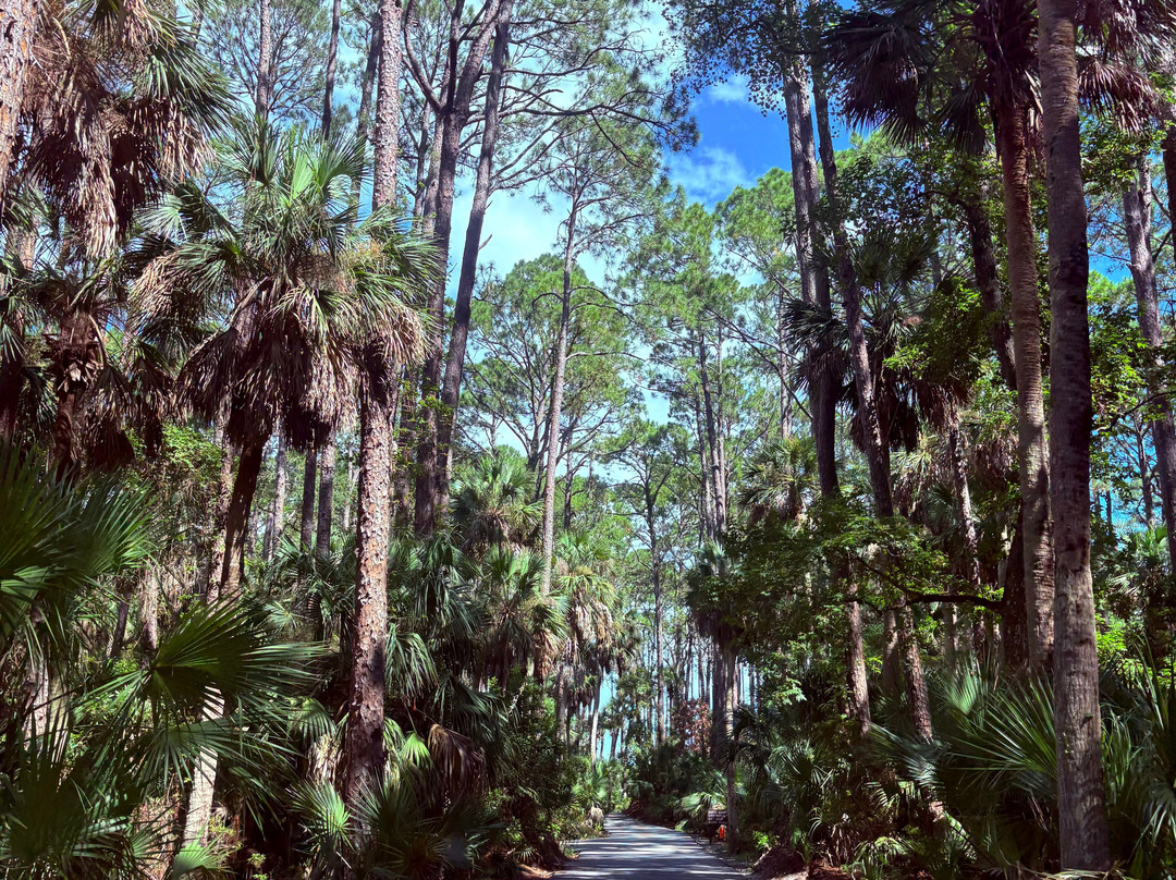 Hunting Island State Park-博福特必去景点
