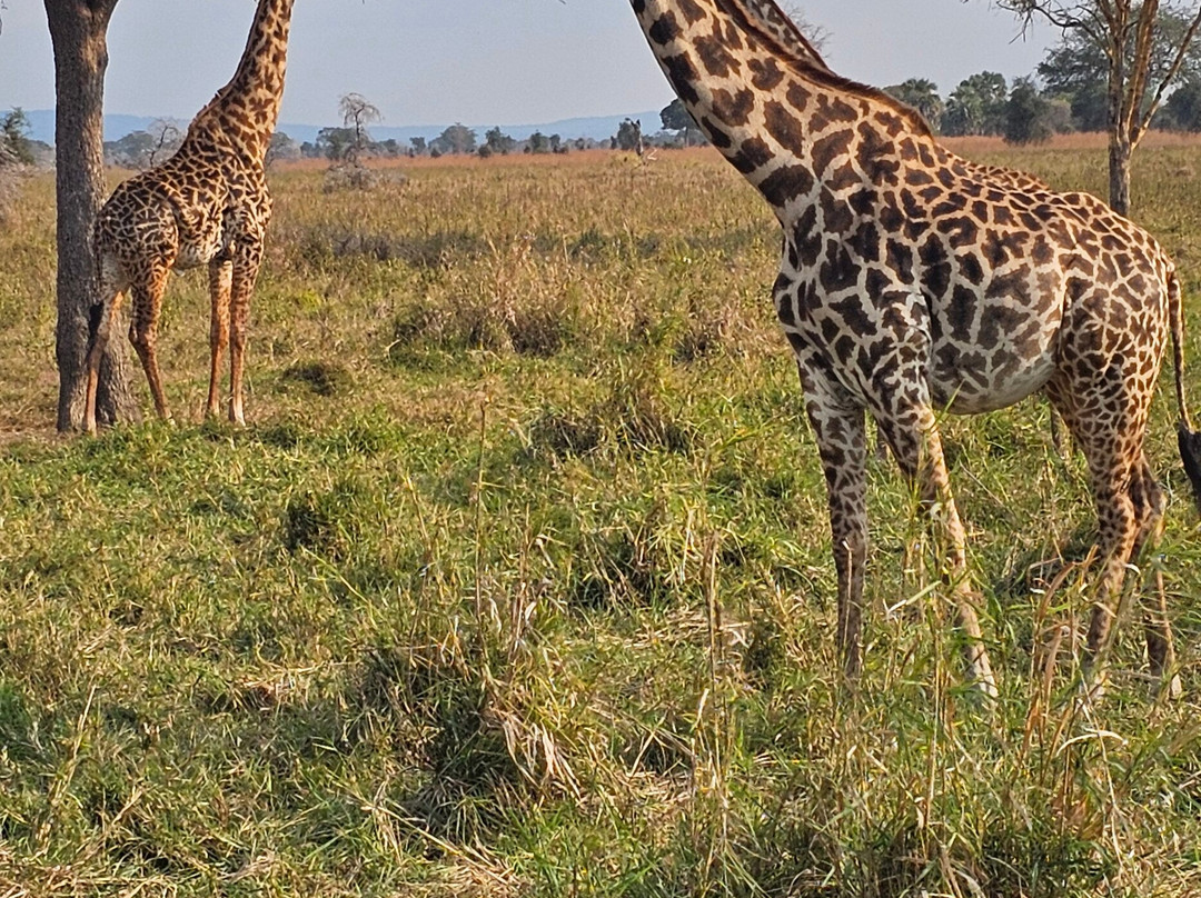 Passionate Safaris-Dar es Salaam必去景点
