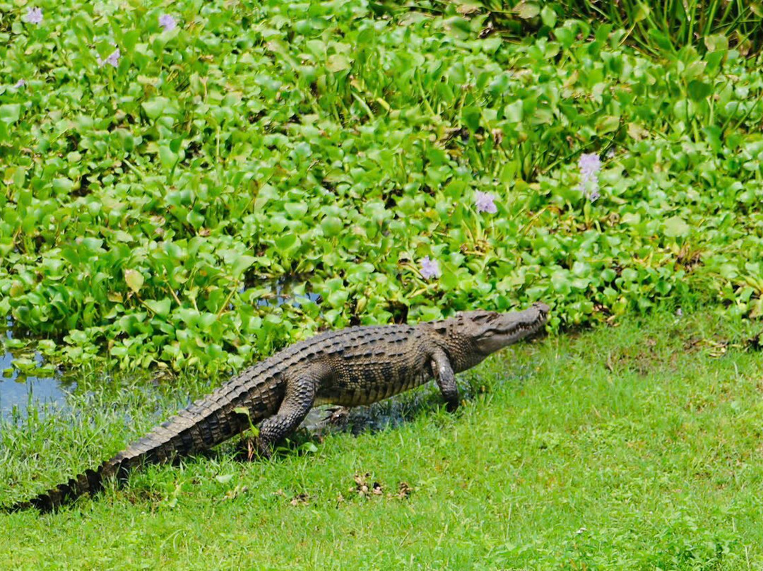 Vietnature Tour (cattien Wild Tour)-Tan Phu District必去景点