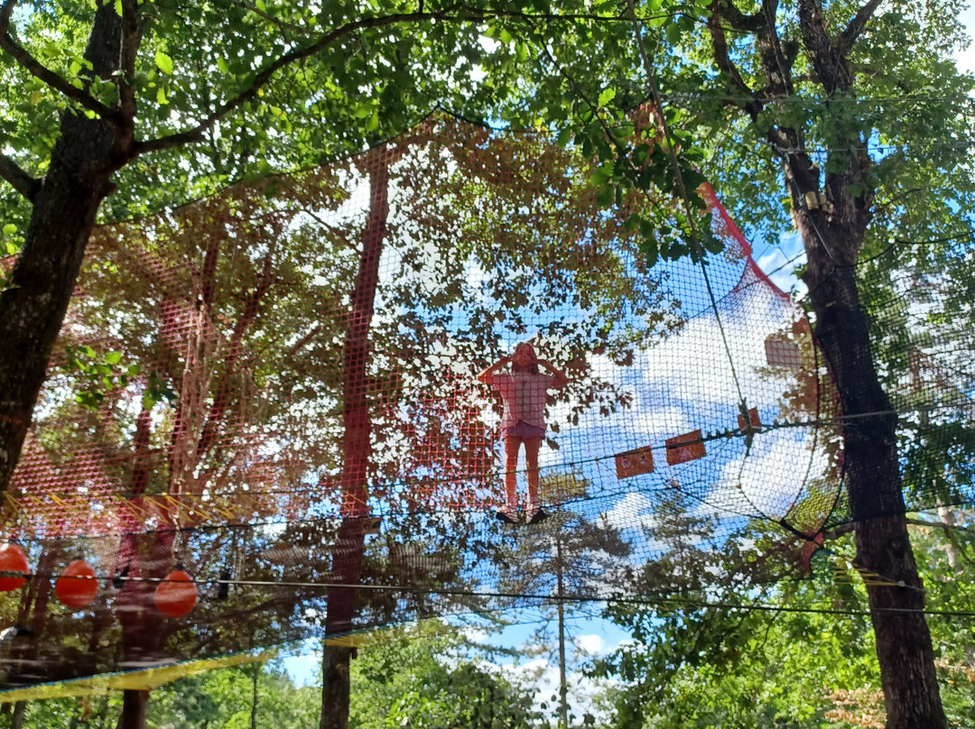 Parc Animalier Le Saint Hubert-Montrozier必去景点
