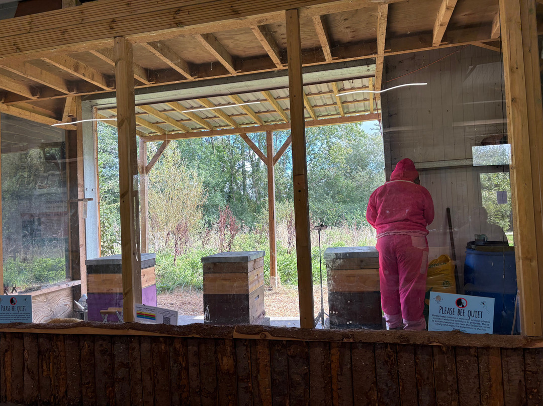 Quince Honey Farm-South Molton必去景点