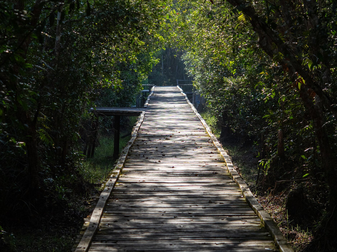 Local Guides - Tanjung Puting-Pangkalan Bun必去景点