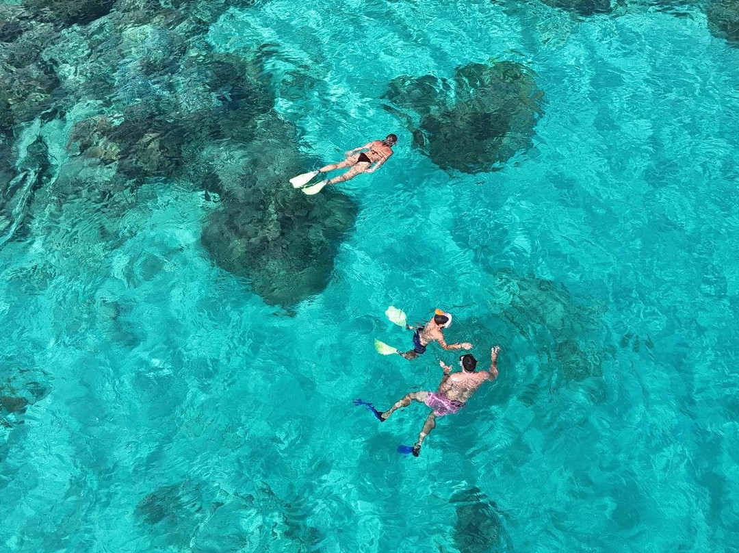 Pulau Weh Paradise Fishing, Dolphin and Snorkelling Tours-Sabang必去景点