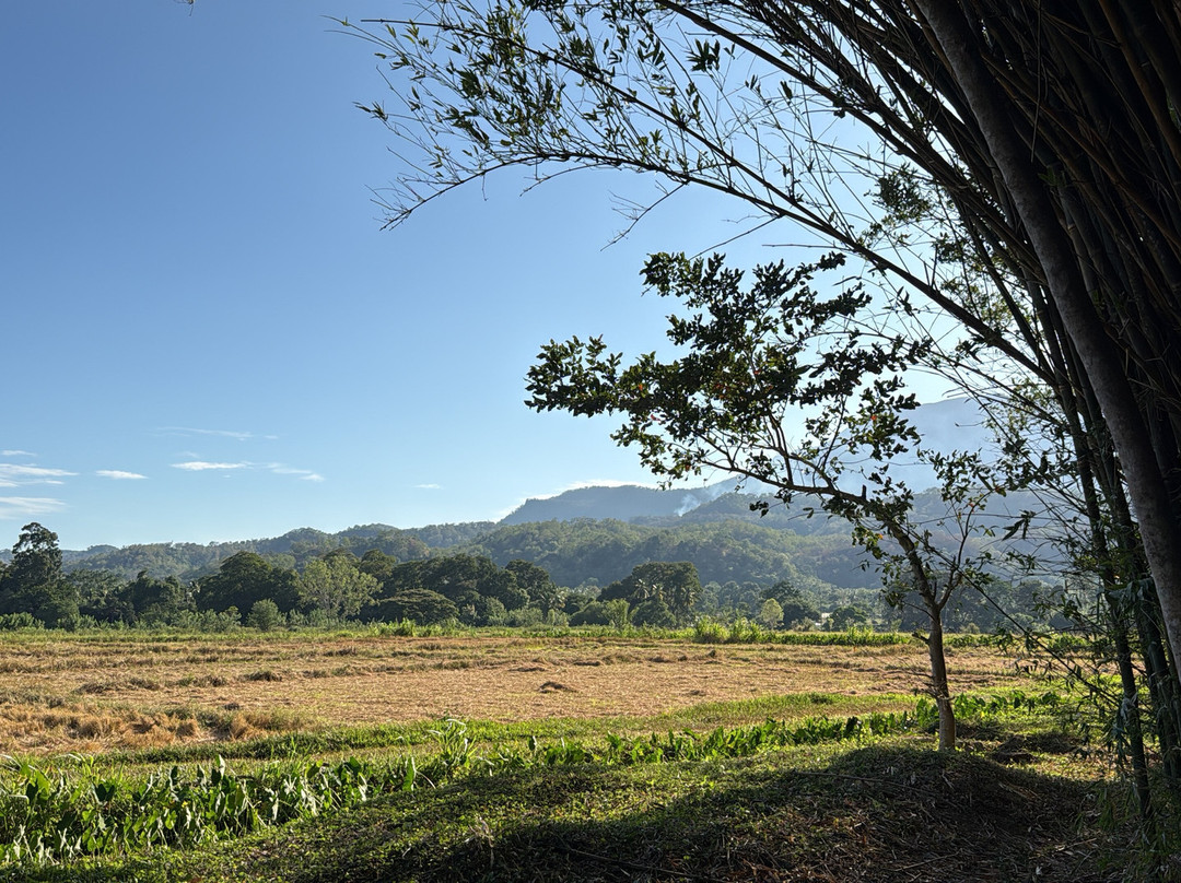Ama  Lanka Tours-Minuwangoda必去景点