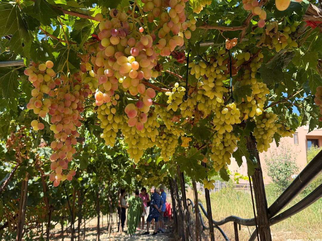 Fournarakis Winery-Episkopi必去景点