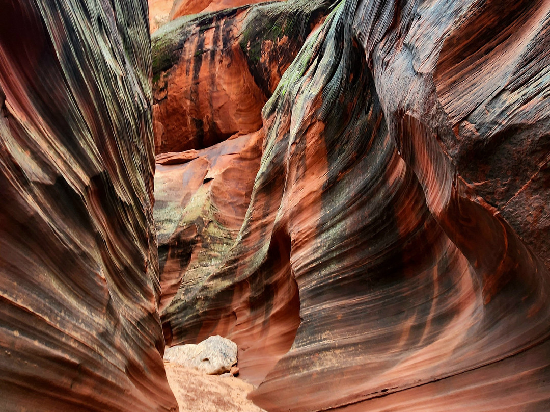 Cardiac Canyon by Taadidiin Tours-佩吉必去景点