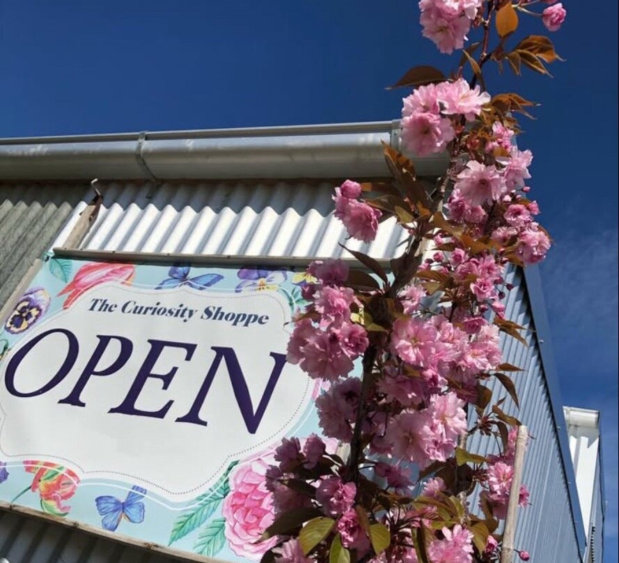 Middlemarch旅游景点-The Curiosity Shoppe