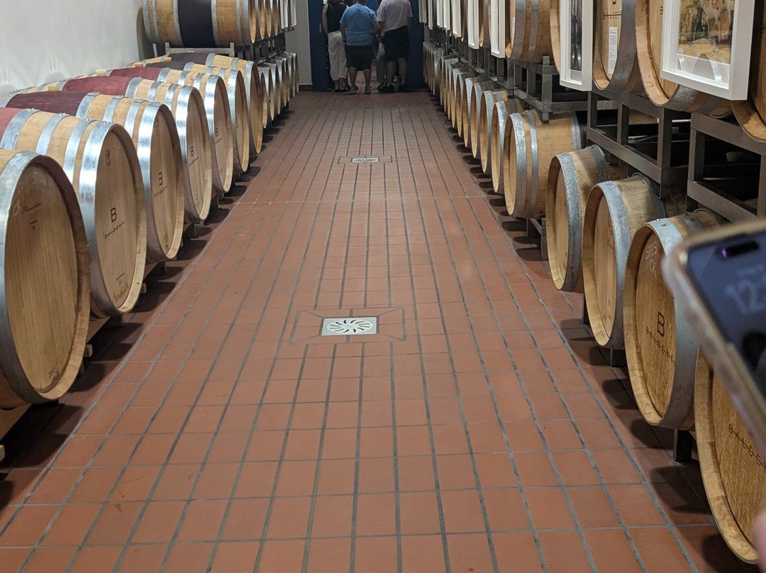 Baldetti Wine-科尔托纳必去景点