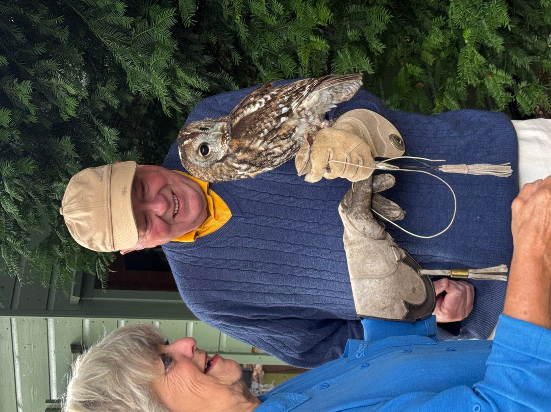 West Sussex Falconry-Compton必去景点