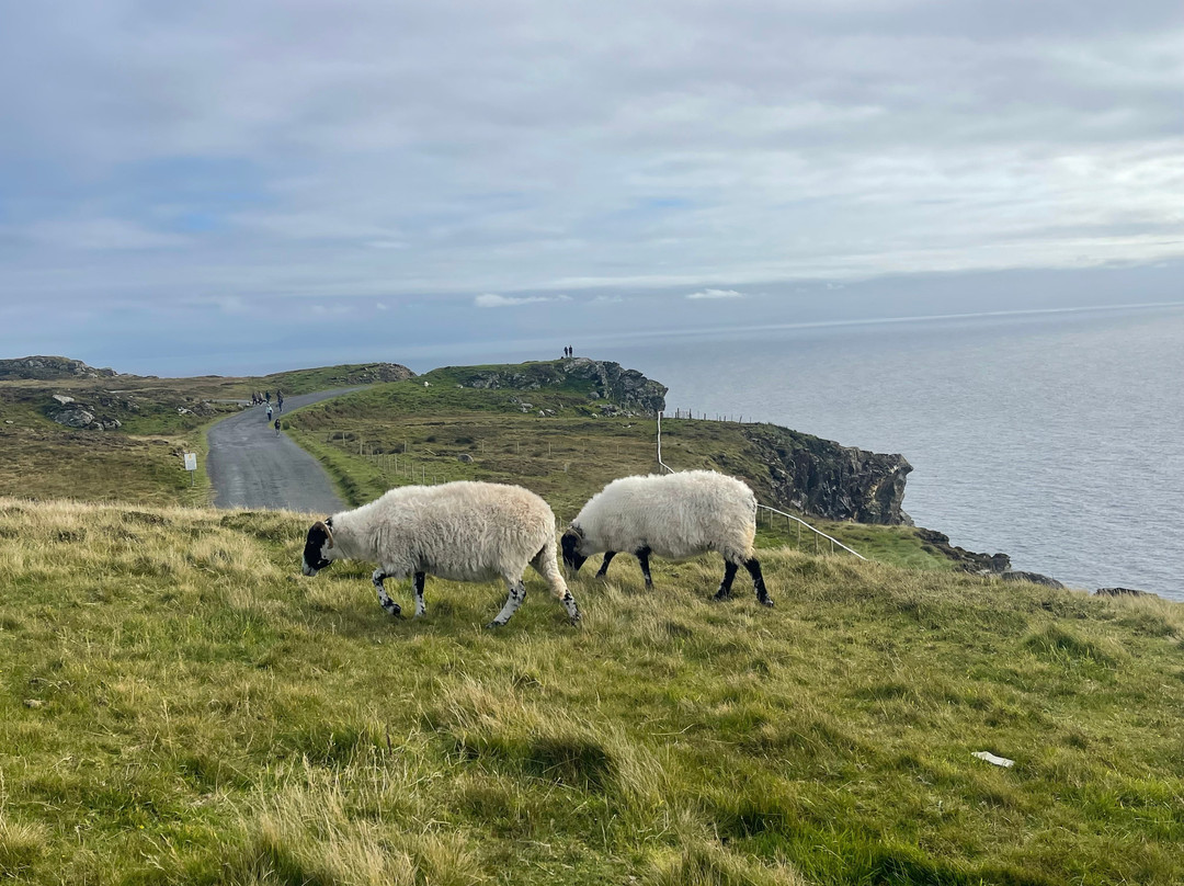 Sliabh Liag Cliff Experience & Visitor Centre
