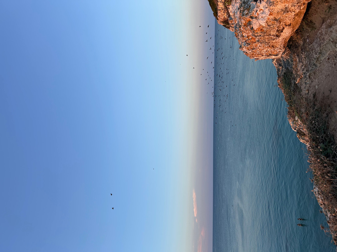 Torre dell'Orso Beach-Torre dell'Orso必去景点