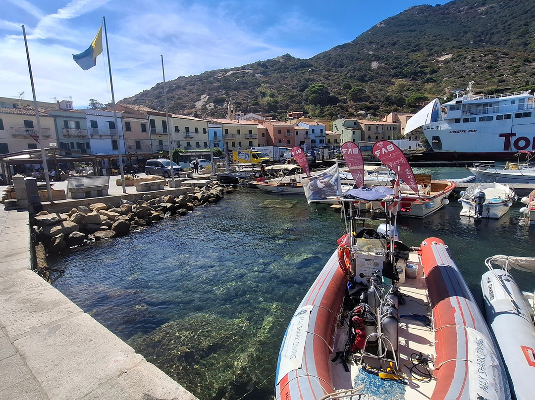 Max Shark Diving-Isola del Giglio必去景点