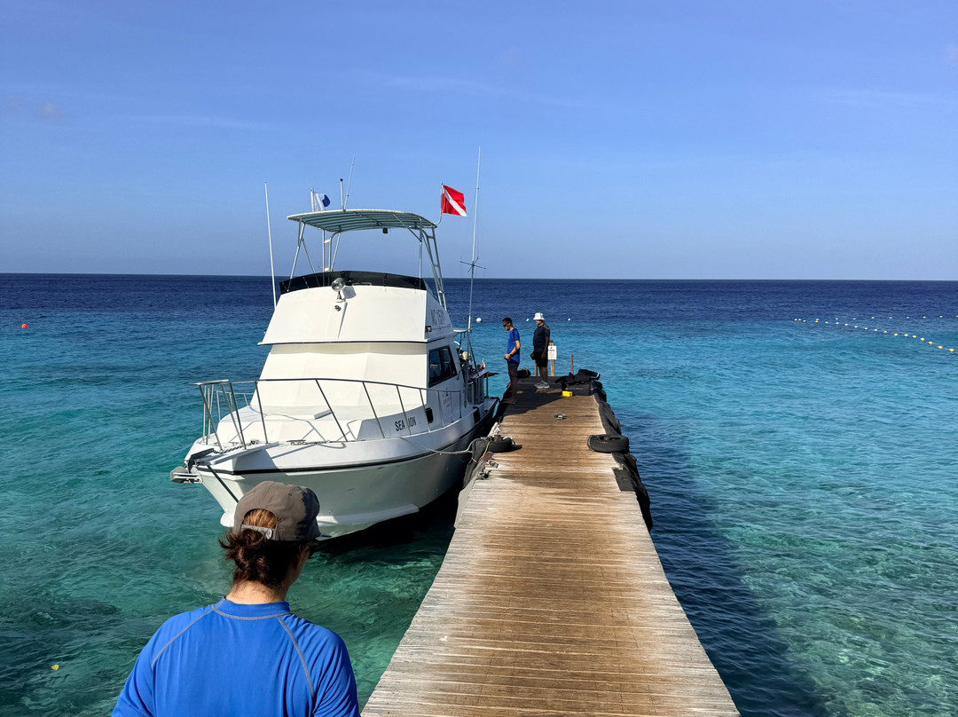GO WEST Diving-Sabana Westpunt必去景点