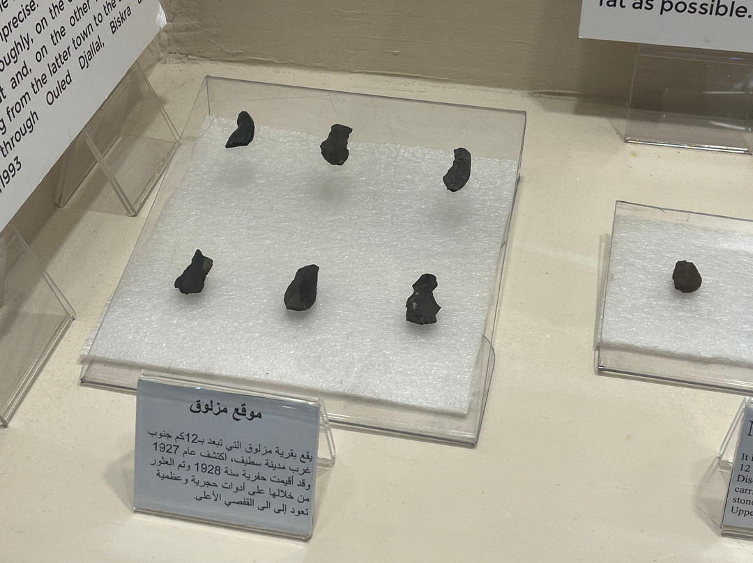 Setif Museum - Musée d'archéologie-Setif必去景点