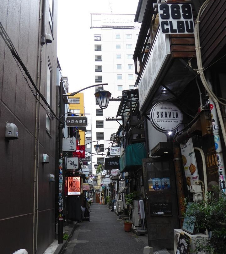 新宿黄金街-Kabukicho必去景点