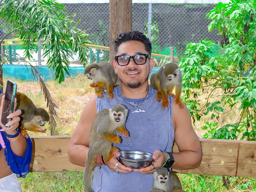 Monkey Home Puerto Plata-普拉塔港必去景点