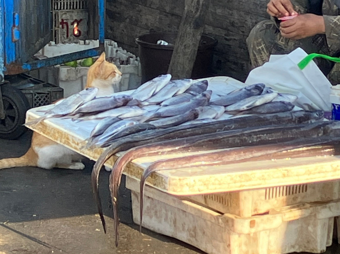 Fish Market-索维拉必去景点