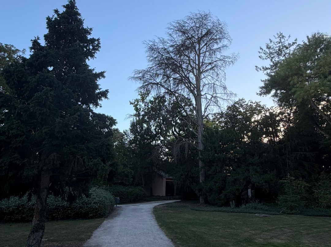 Adenauer-Park Speyer-施派尔必去景点