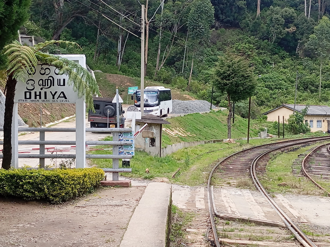 Ceylon VibeX Travels