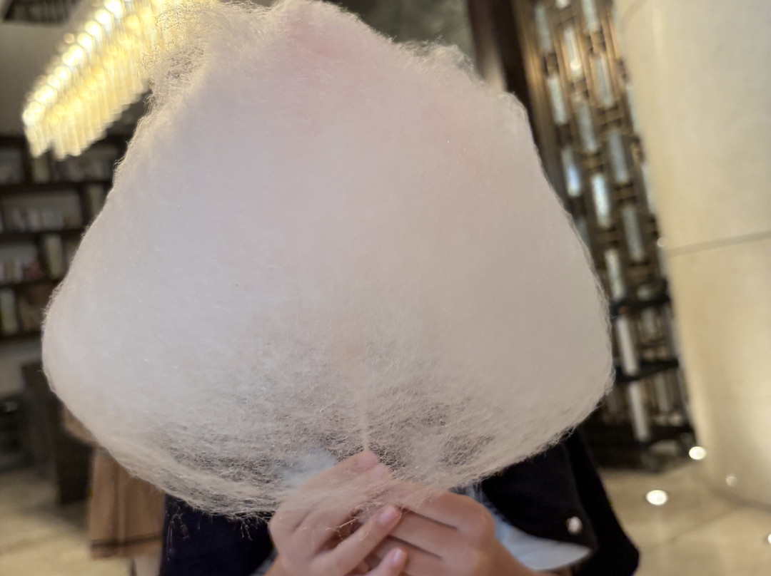 常熟理文雅高铂尔曼酒店主图