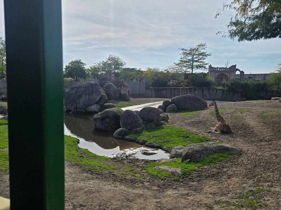 Wildlands Adventure Zoo Emmen-Emmen必去景点