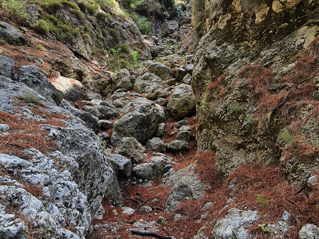 Agia Irini Gorge-Sougia必去景点