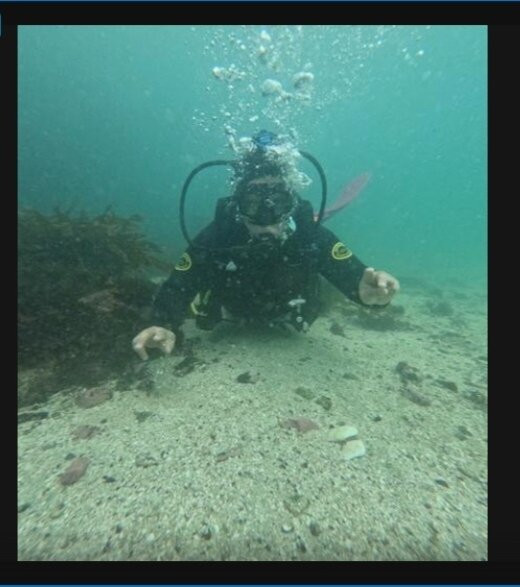 Bravamar Diving Center-Algarrobo必去景点