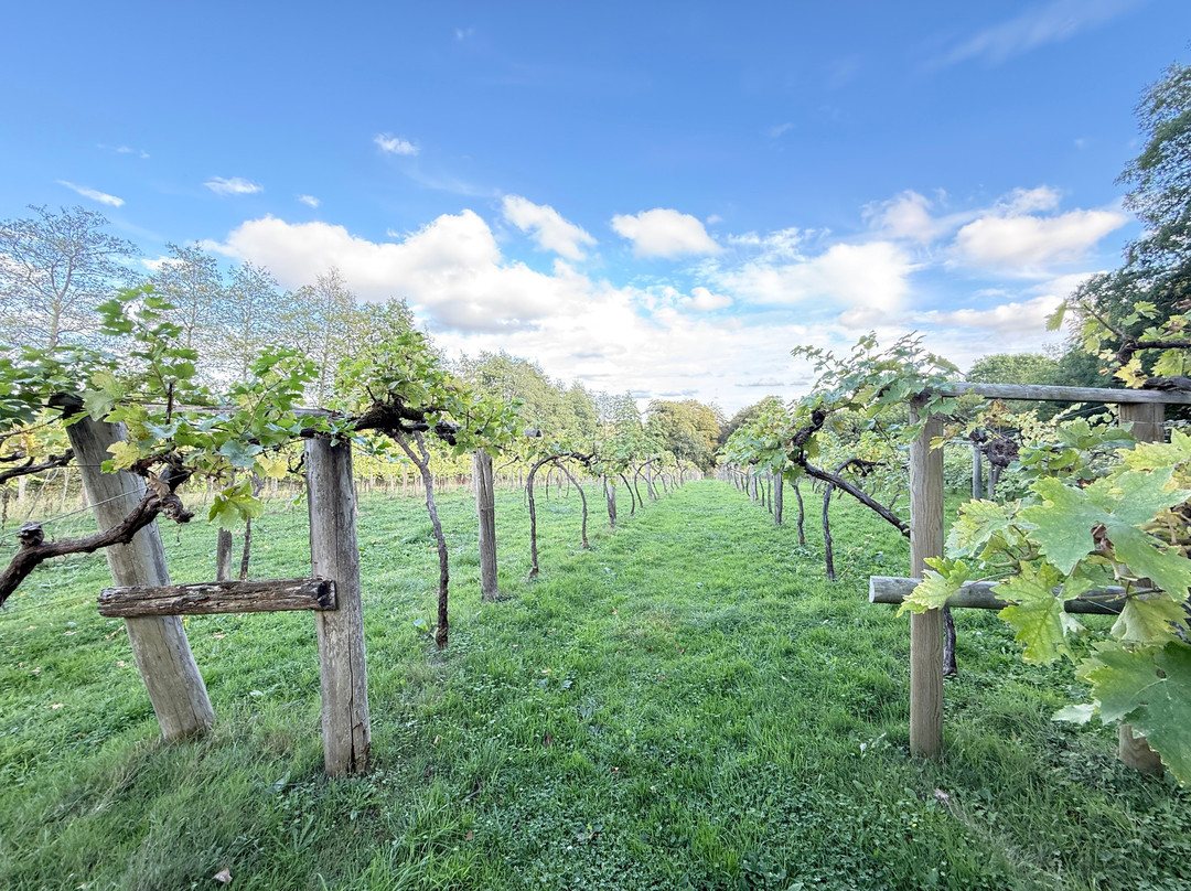 Chiltern Valley Winery & Brewery-泰晤士河畔亨利必去景点