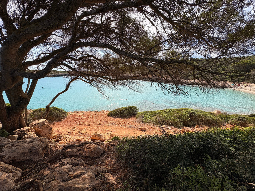 Cala Varques-Calas de Majorca必去景点